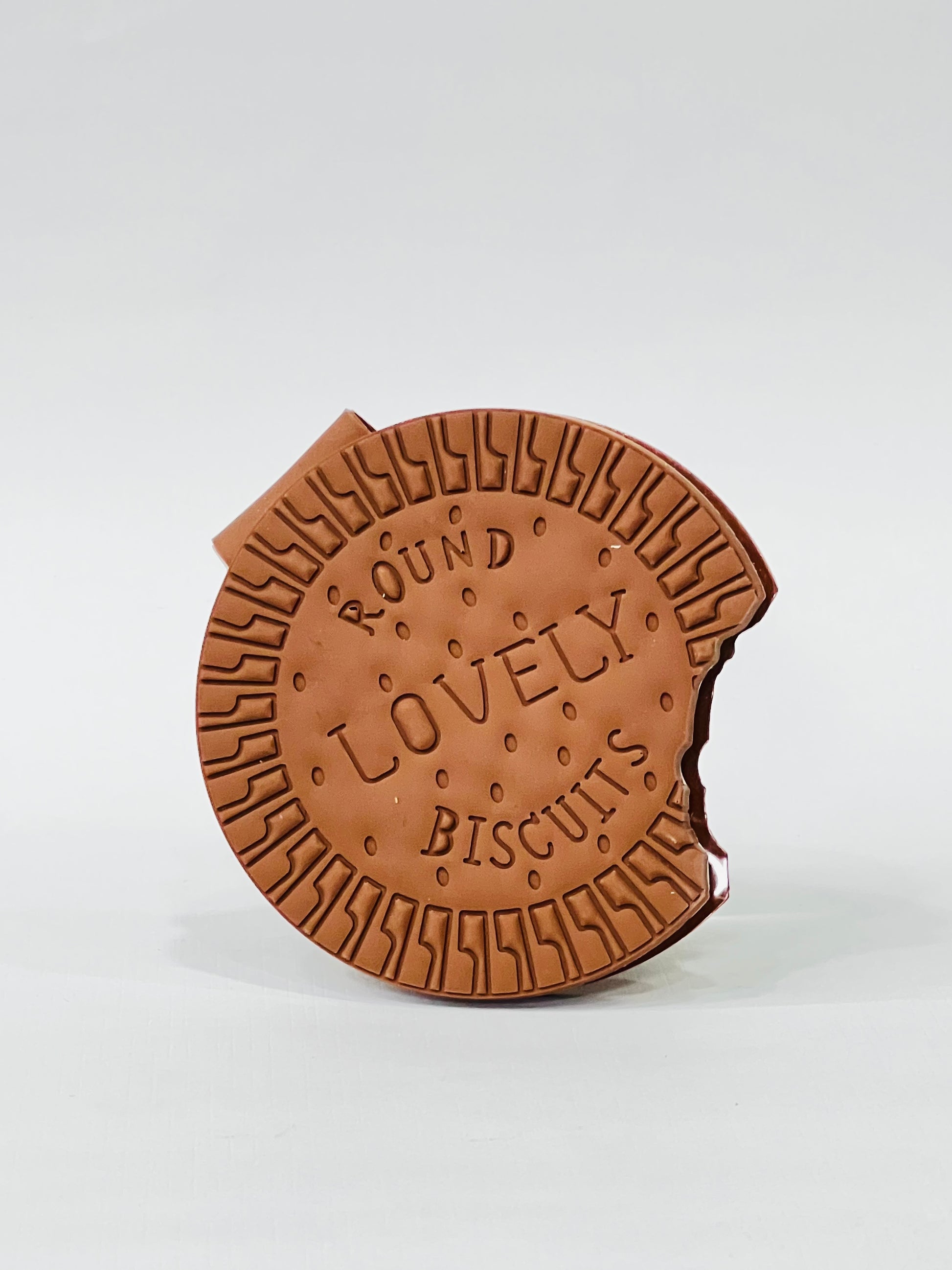 Biscuit notebooks (Pack of 4)